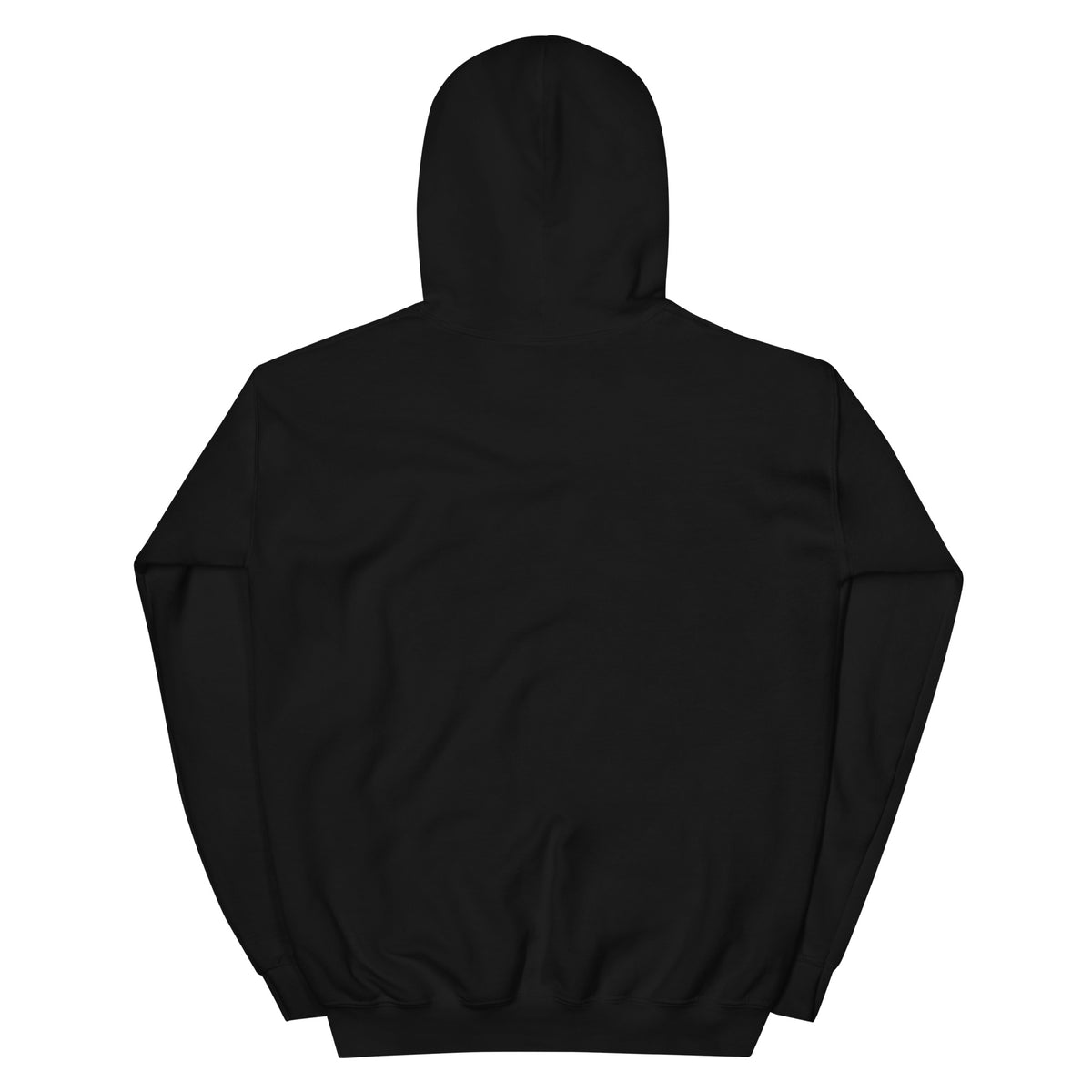 I'm Just a Girl with a Mentally Unstable Dog Malinois hoodie – black back view