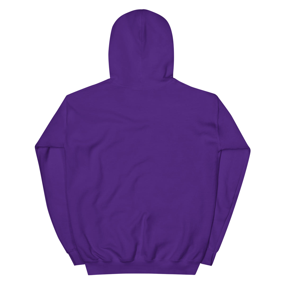 I'm Just a Girl with a Mentally Unstable Dog Malinois hoodie – purple back view