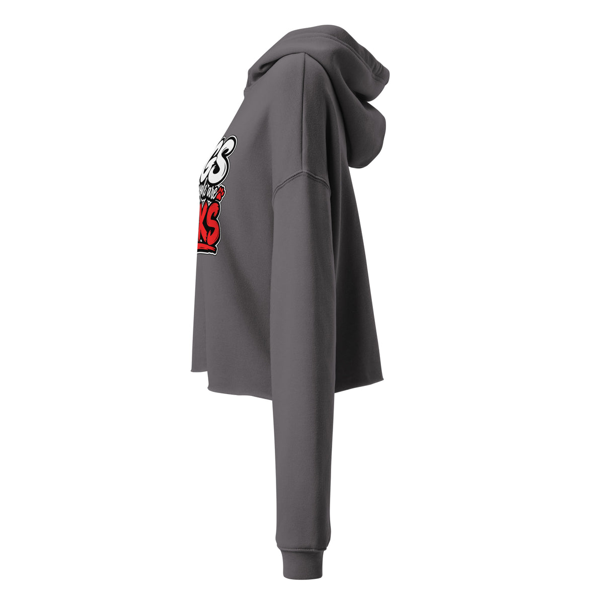Left-side view of storm Dogs Because women's cropped hoodie